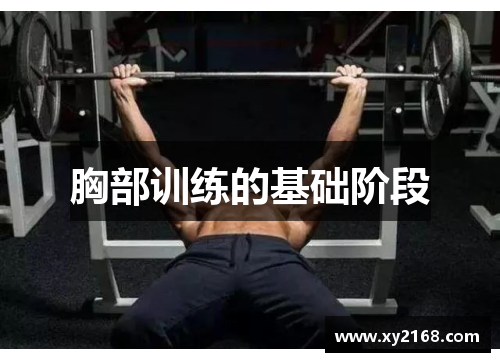胸部训练的基础阶段