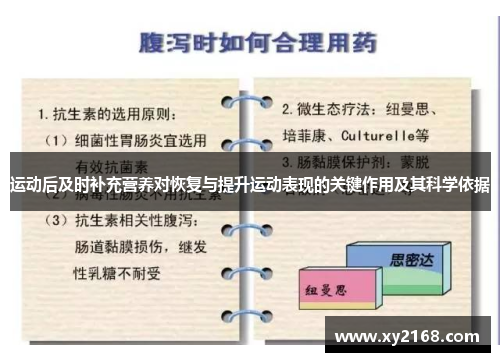 运动后及时补充营养对恢复与提升运动表现的关键作用及其科学依据